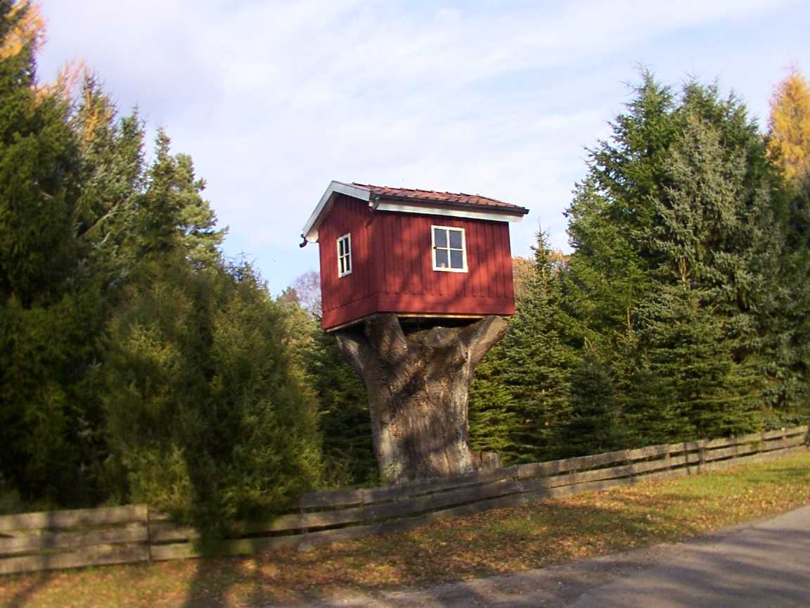 Traum-Baum-Haus